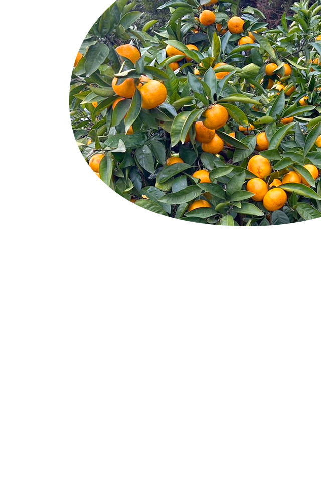 sp_slide_01