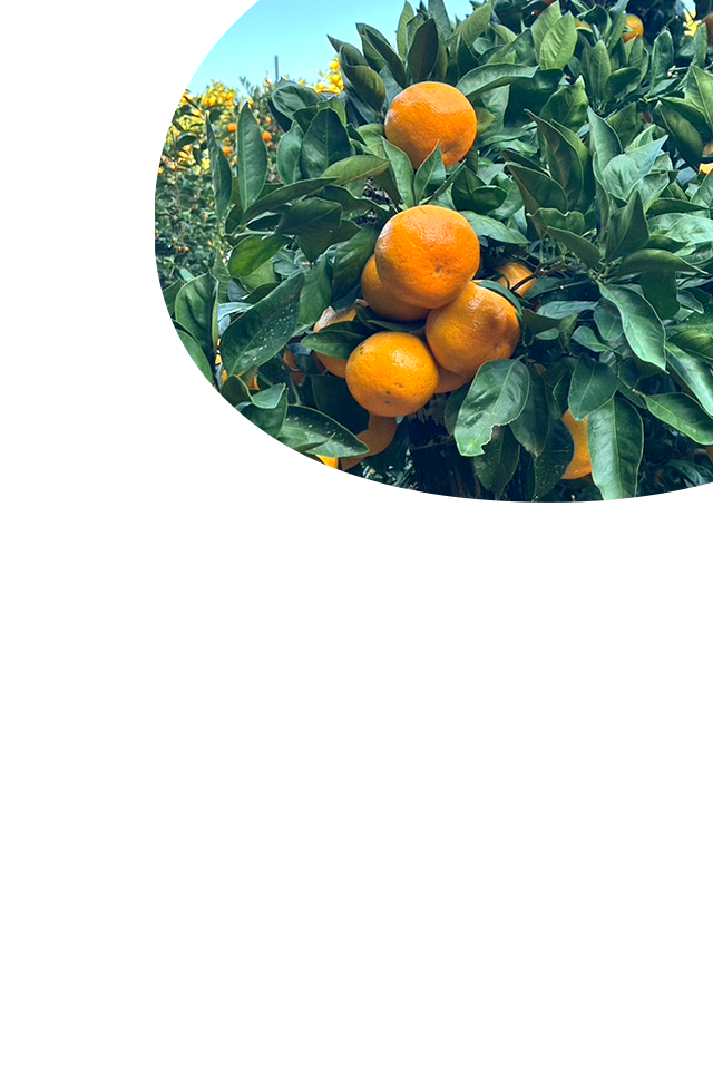 sp_slide_02